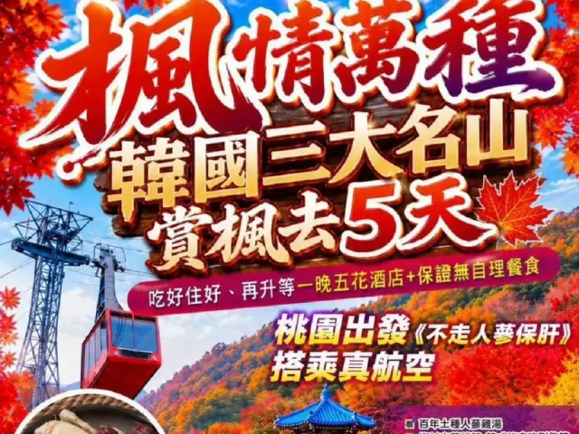 中天旅行社股份有限公司(照片 14)